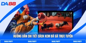 Cách Xem Đá Gà